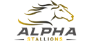 alpha stalions